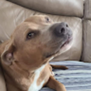 Meet your Posher, Alexandrea